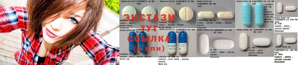 индика Новокубанск