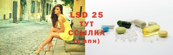 индика Новокубанск