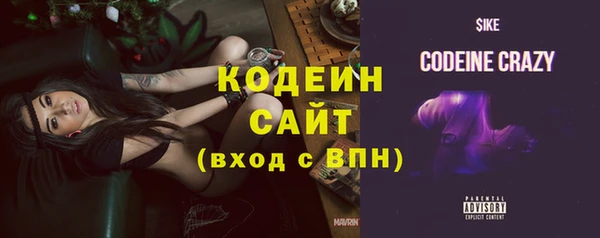 СК Новозыбков