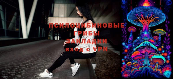 метадон Новодвинск