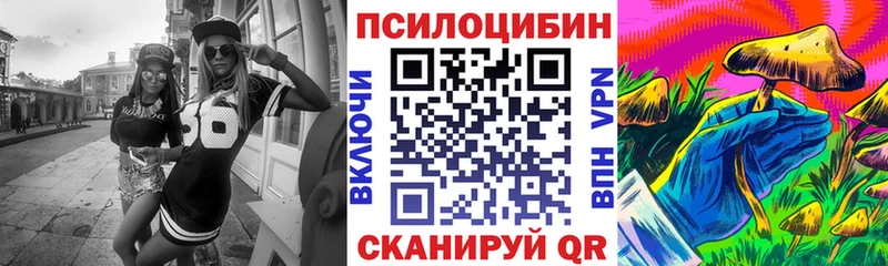 Галлюциногенные грибы Psilocybe  Калач-на-Дону 