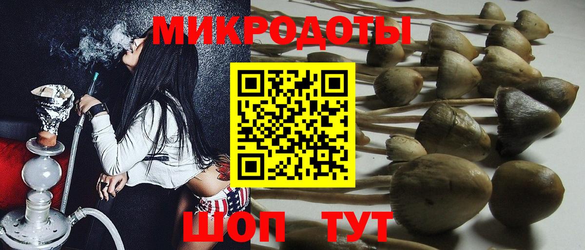 Псилоцибиновые грибы GOLDEN TEACHER Калач-на-Дону
