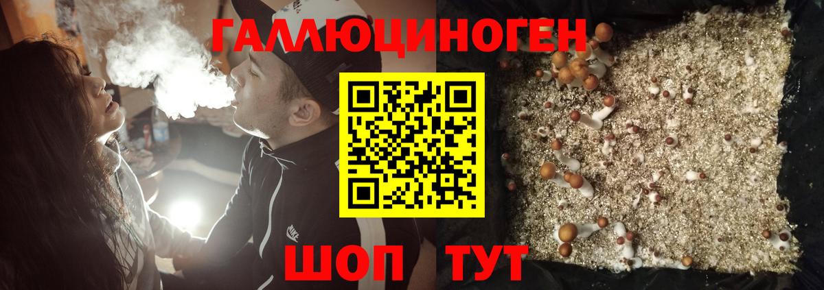 Галлюциногенные грибы прущие грибы  Вход с VPN  Калач-на-Дону 